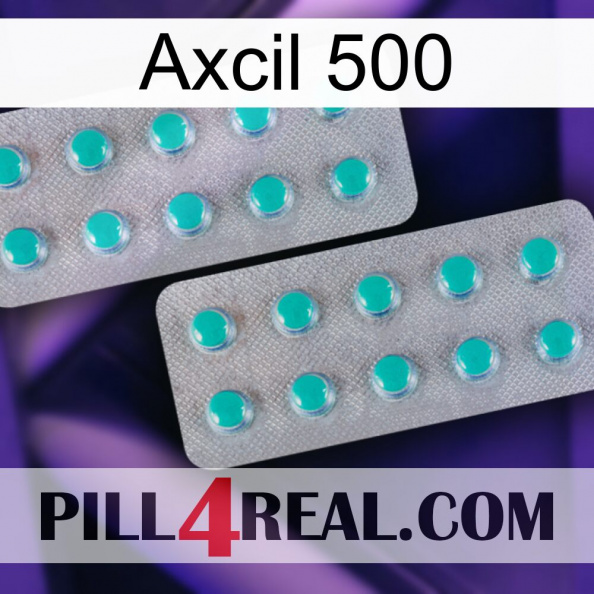 Axcil 500 29.jpg